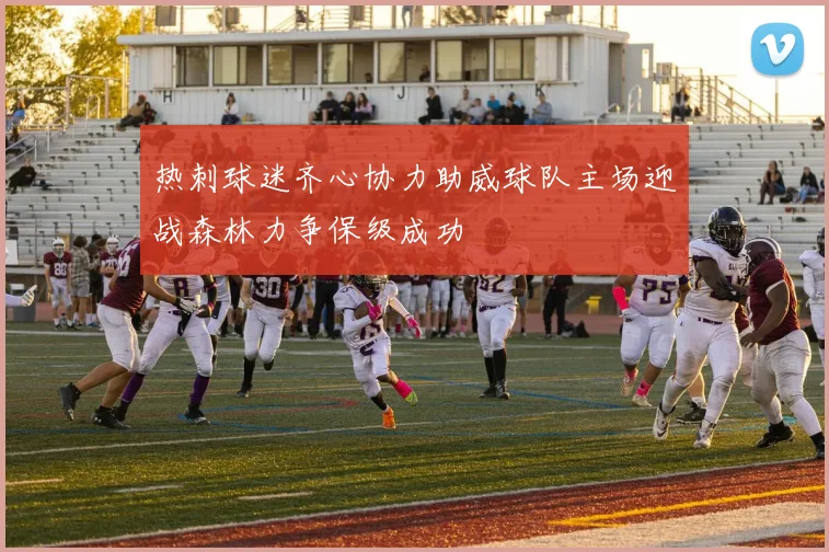 热刺球迷齐心协力助威球队主场迎战森林力争保级成功