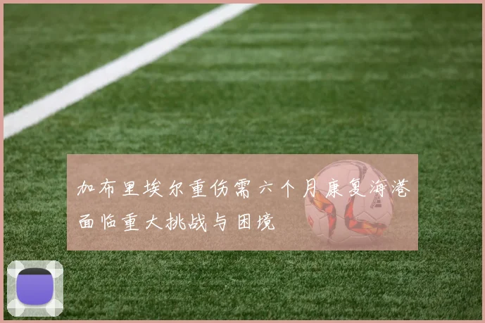 加布里埃尔重伤需六个月康复海港面临重大挑战与困境